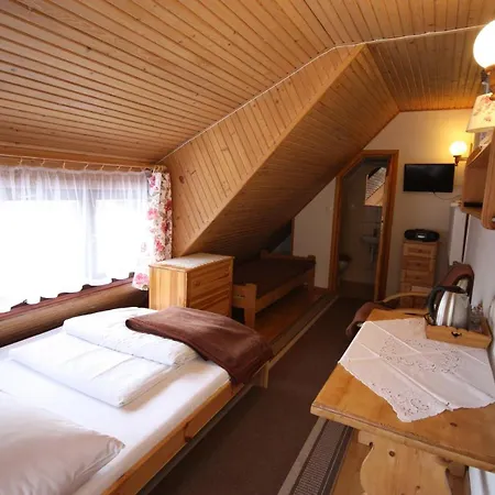 Domek U Gasienicow 2- Pokoje Goscinne Zakopane